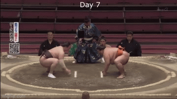 4zv2oh.gif