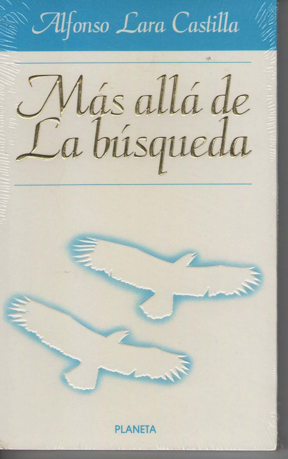 Más allá de la Búsqueda Portada