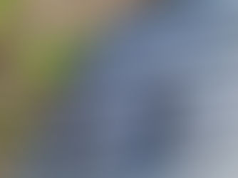 Best Roofing Systems for Southern California Homes & Businesses