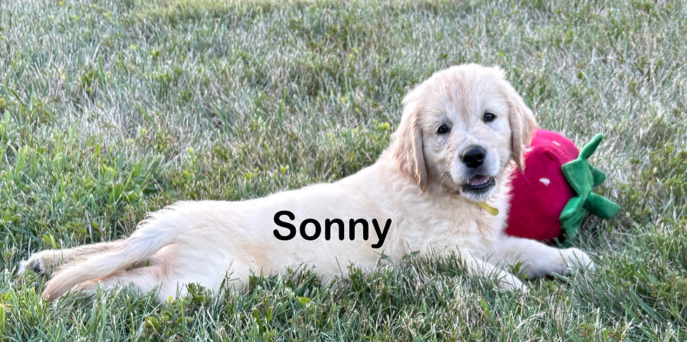 Sonny
