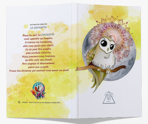 CARNET INTUITIF - LA CHOUETTE AURA JAUNE