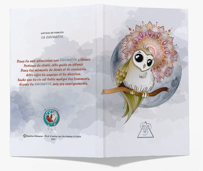 CARNET INTUITIF - LA CHOUETTE AURA GRISE ARGENT