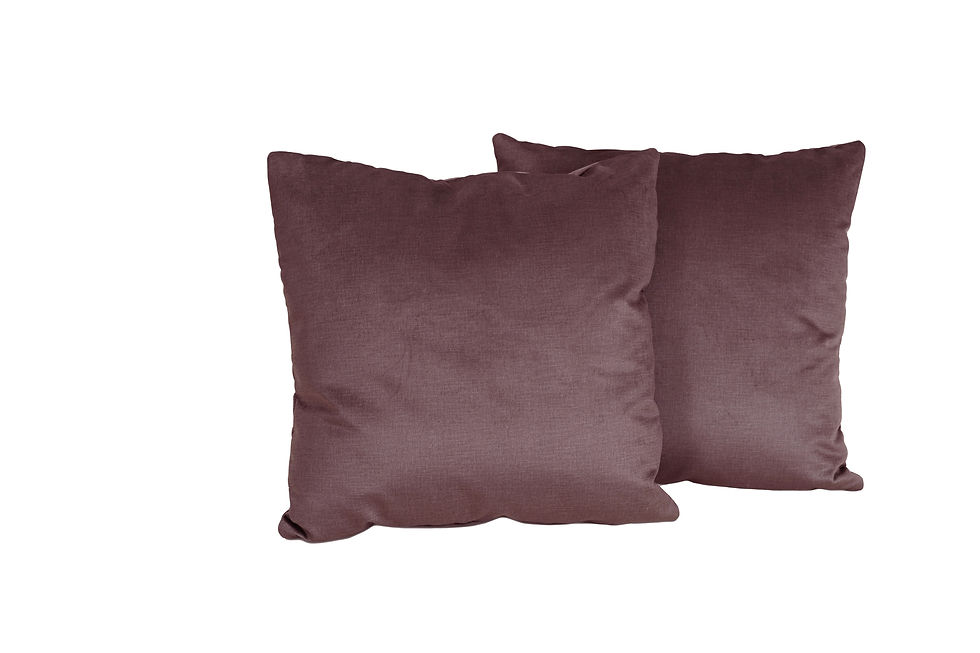 Miniatură: Set perne 2 buc, 65 x 65 cm