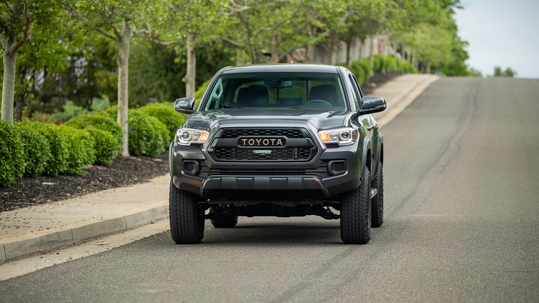 Tacoma Trail Special Edition 2023null