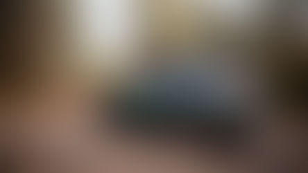 2024 Toyota RAV4 Hybrid Woodland Edition review: Basic spice