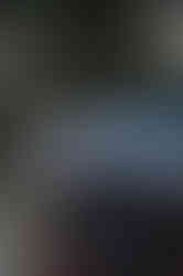 Toyota Crown platinum hybrid max