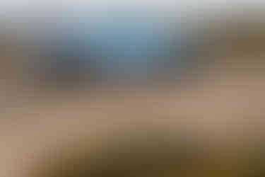 2021 Hyundai Veloster N