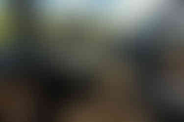 2021 Volvo XC90 Inscription interior image