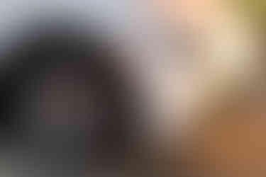 Genesis GV60 exterior detail