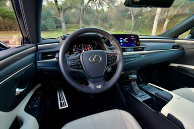 2021 Lexus ES 350 F Sport Black Line