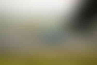 2024 sro sonoma gt america lamborghini