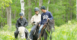 How about trying horseback riding?