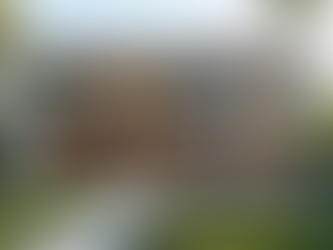 Transform Your Home with Our Exclusive Window and Door Specials This Month