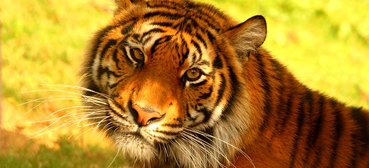 pict_original.jpg_m=1418638767000.jpg