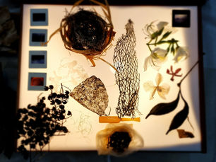 Art Therapists Speak Materials, Nona Orbach