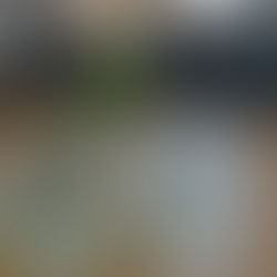 ההגשה היא ההנחיה - נונה אורבך