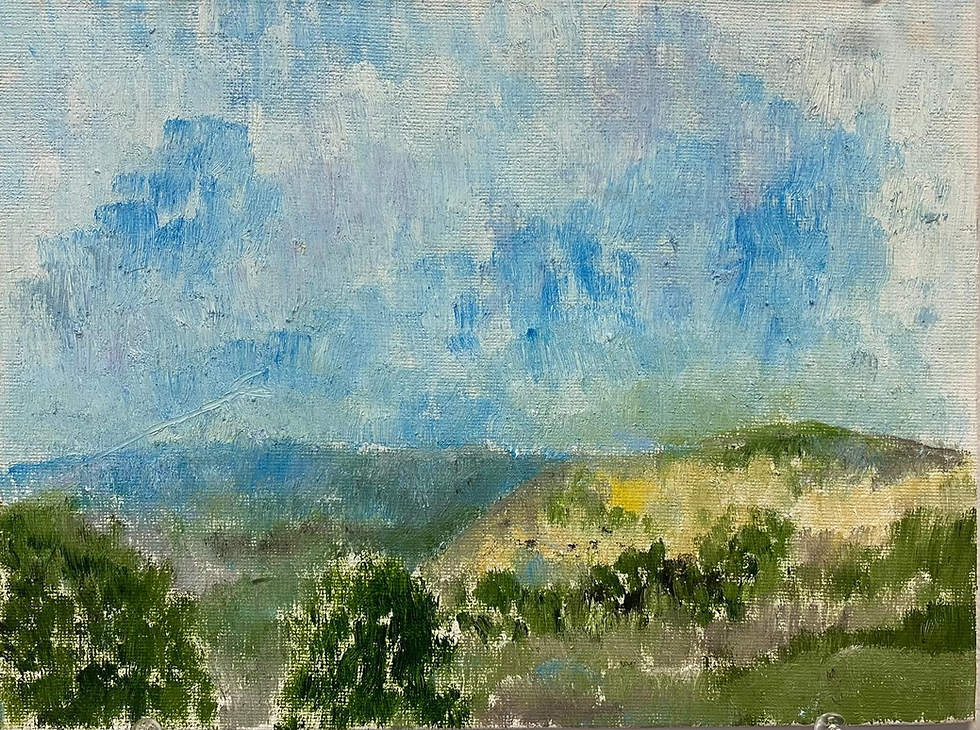 Talia Landau, high school student,17 years old