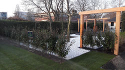 IMG-20190331-WA0000