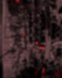 HOMESCREEN_edited.jpg