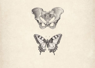 Hoe Vrouwen Helen (en waarom)