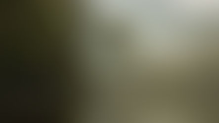 Mental Health: de verborgen verbinding tussen het brein en de darmgezondheid.
