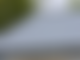 Gray metal roof with parallel seams above a white building. Trees in the background. Bright, clear day. No text or people visible.