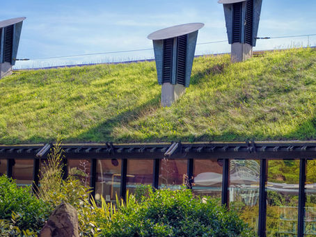 Benefits of Creating a Green Roof