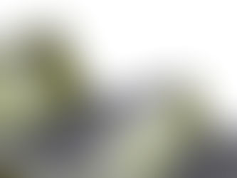 Tip Tuesday | How to Make Your Roof Last