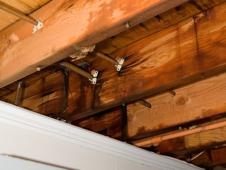 Exposed ceiling joists with water damage and dark stains. Visible pipes underneath, creating a rustic and worn ambiance.