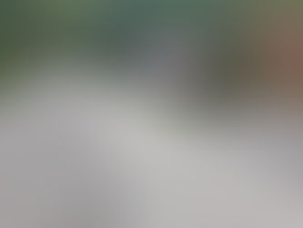 The Lifespan of Different Roof Types 