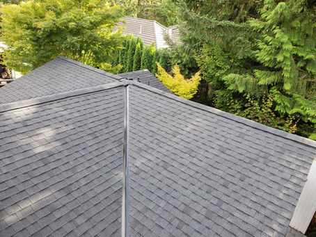 Small Steps to Make your Roof Eco-Friendly