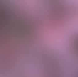 compassion for the multitude within