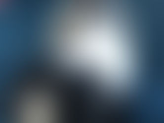 Cockervalparna snart 5 veckor!
