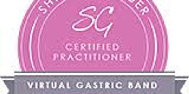 Virtual Gastric Band