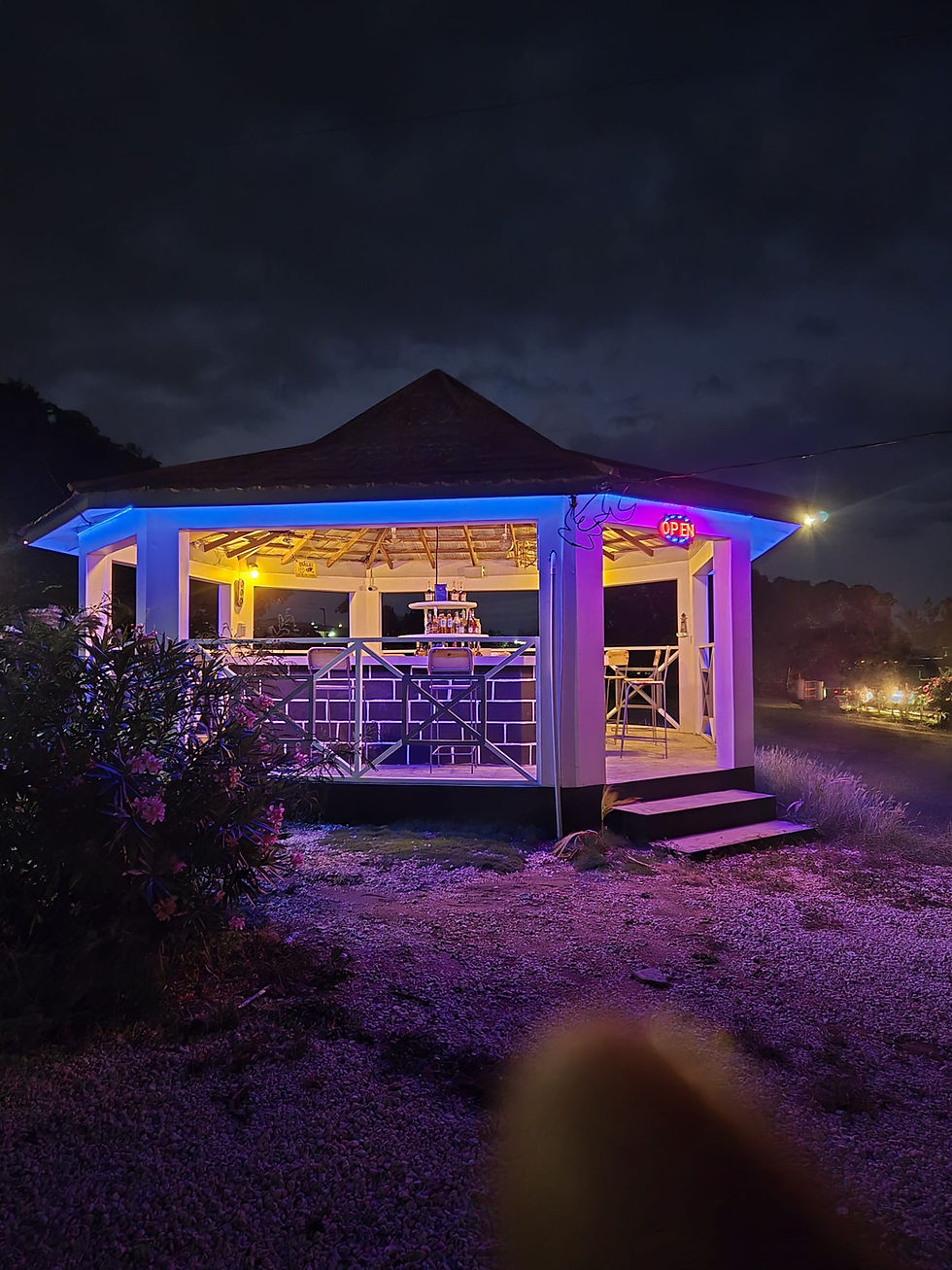 Treasure Beach Inn Bar