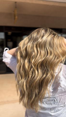Highlights