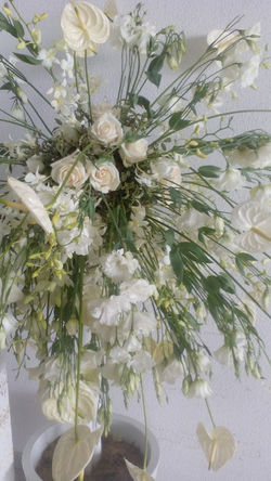 cwp weddings