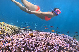 IMG-20240923-WA0279 (1).jpg