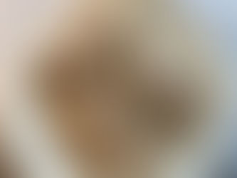 Activity: Making Flatbread