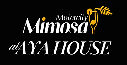 Aya logo white for dark bckgrnd (1).png