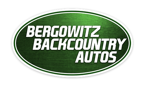 Bergowitz_Logo.png