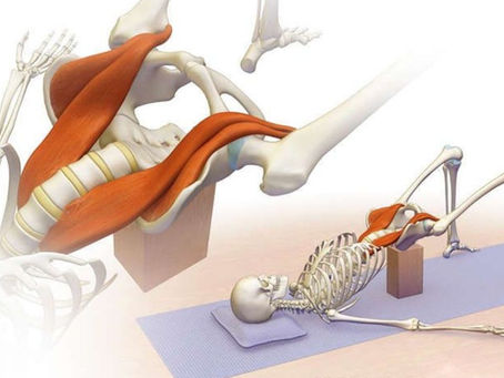 psoas kası