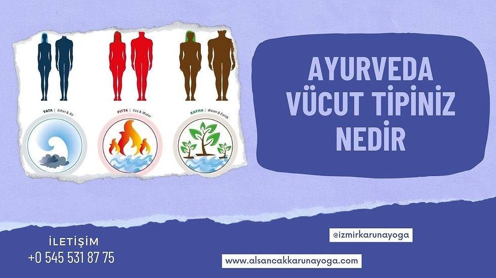 ayurveda vucut tipiniz nedir?
