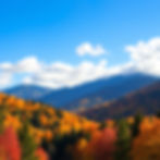 A fall landscape of a forested valley symbolizing the beauty of midlife