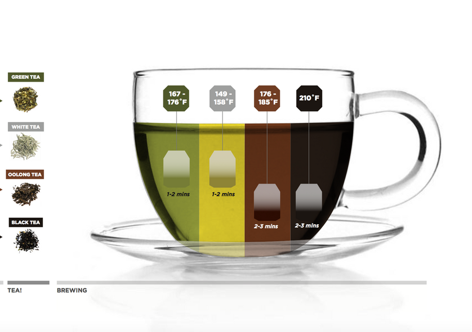 Infographic about how tea is harvested, process and brewed.