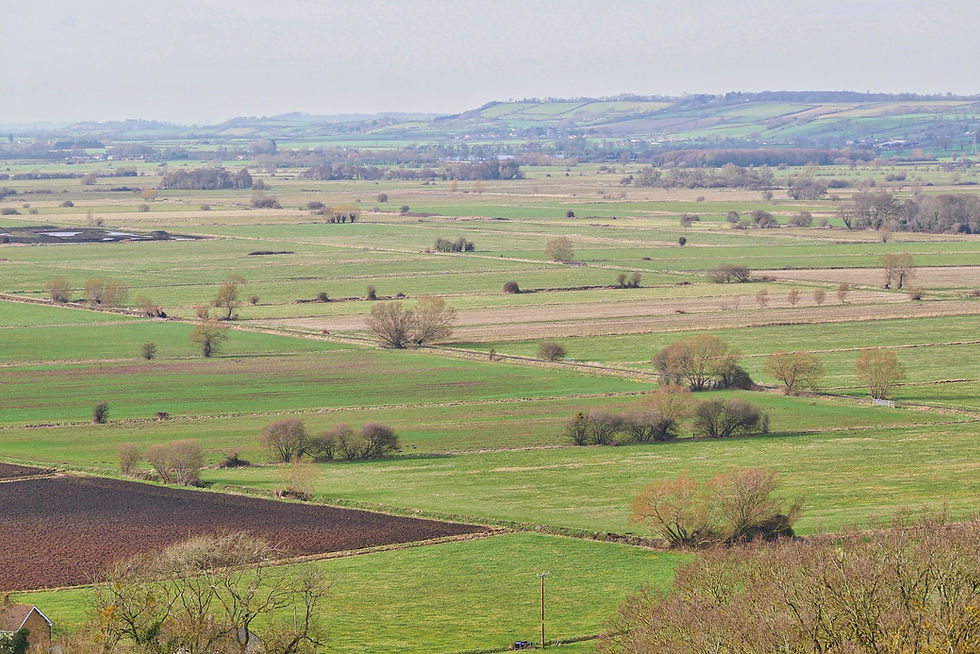 The Somerset Levels, as seen from the hills at Compton Dundon