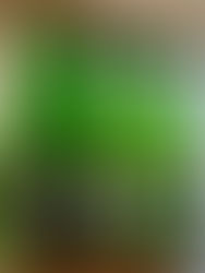 Wonderful World of Perry and Perry-Making