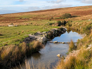 Dartmoor Walks: Trowlesworthy Warren and the Whitehall Yeo China Clay Pit