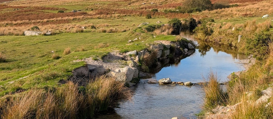 A leat near Trowlesworthy Warren on Dartmoor