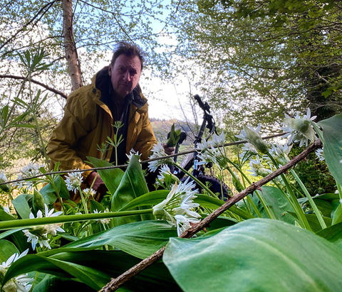 It's Back! Wild Garlic is growing profusely in the West Country hills